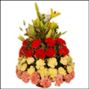 Glimmer of Joy - Click here to View more details about this Product